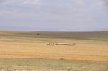 07 e_DSC_0204